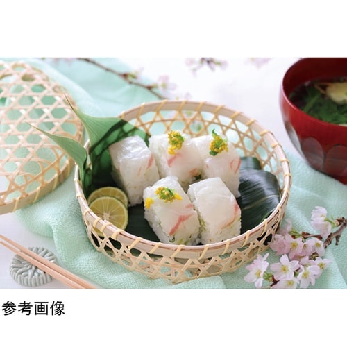 モミの木 スクエア小鉢 ミニ 78441