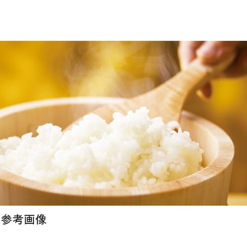 桧のやさしいしゃもじ(中) 78307