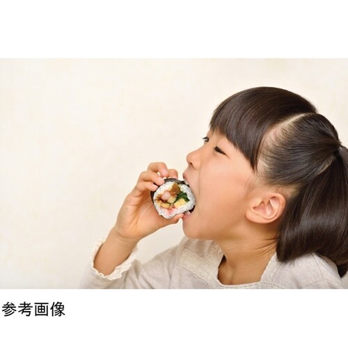 巻き寿司セット 82704