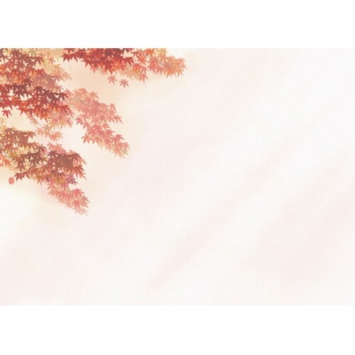 おふたりさまセット 紅葉 89709