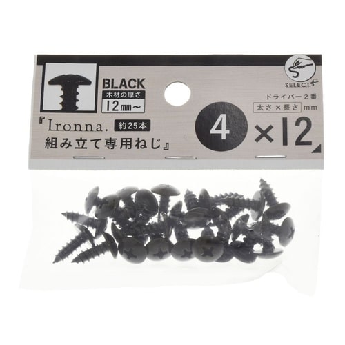 Iro専用ねじ(黒) 4×12 1セット