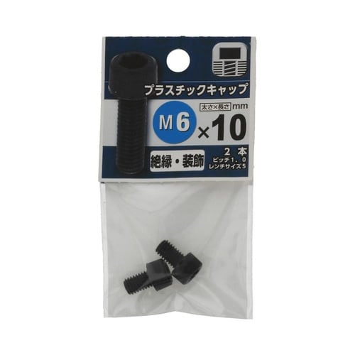 プラスチックキャップ 6×10 1セット