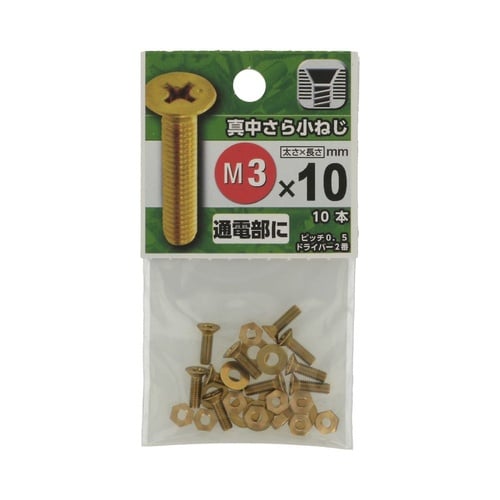 真中さら小ねじ 3×10 1セット(10