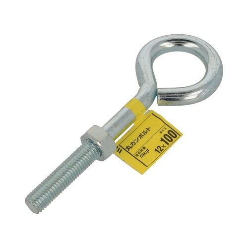 丸カンボルト 12×100 1セット(5