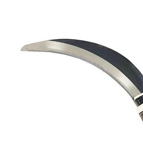 普通目鋸鎌 707404