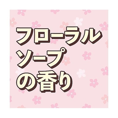 クローゼットおくだけ防虫力 フローラルソ