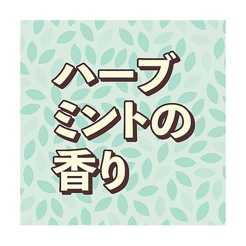クローゼットおくだけ防虫力 ハーブミント