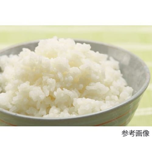 レスキューライス 8年保存 100食入