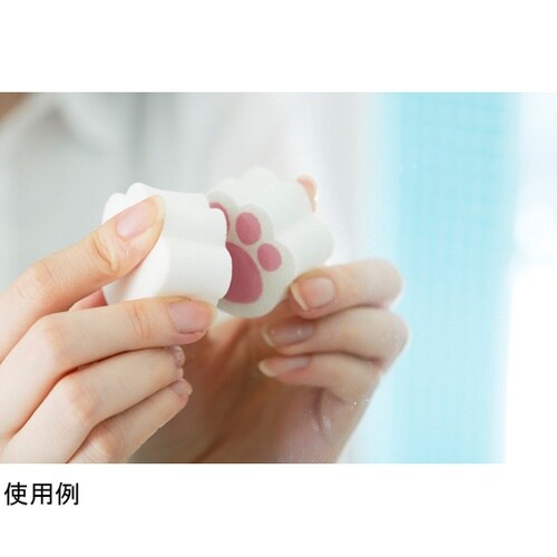 鏡のウロコ取り ネコの貼りつく 鏡磨き