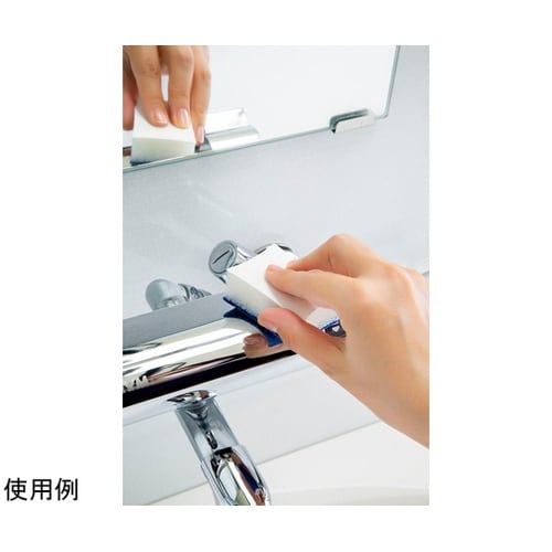 うろこ取り フッ素ガード 鏡磨き&こまご