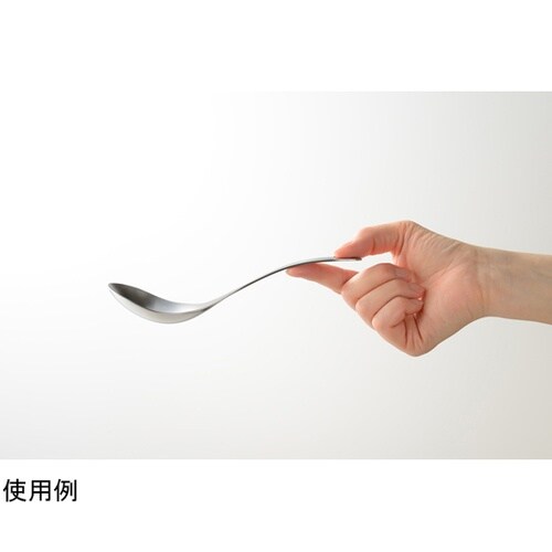 取分けスプーン LES3204