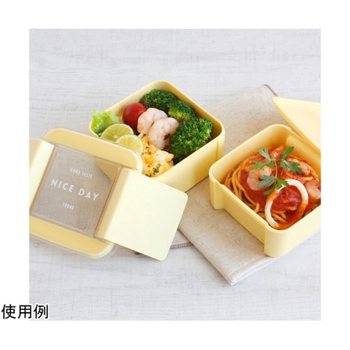 お弁当箱 イージーケアランチスクエア2段