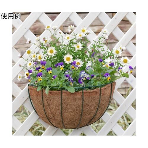 ウォールハンギングバスケット L NPM