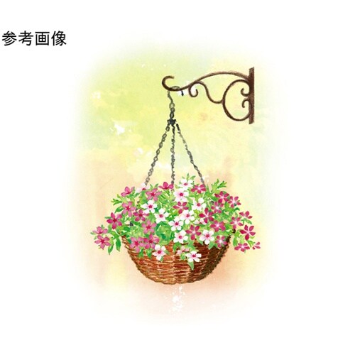 G−story ラタンハンギングバスケッ