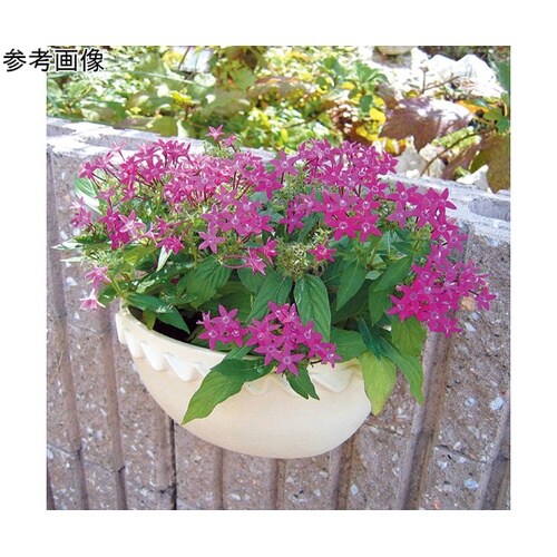 メタルハンギング ブロック用フックL N