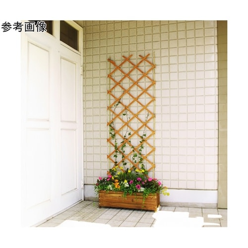 伸縮トレリス カントリーウッド 60×1