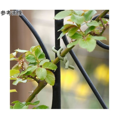 ガーデンソフトタイ 3.5mm×8m G