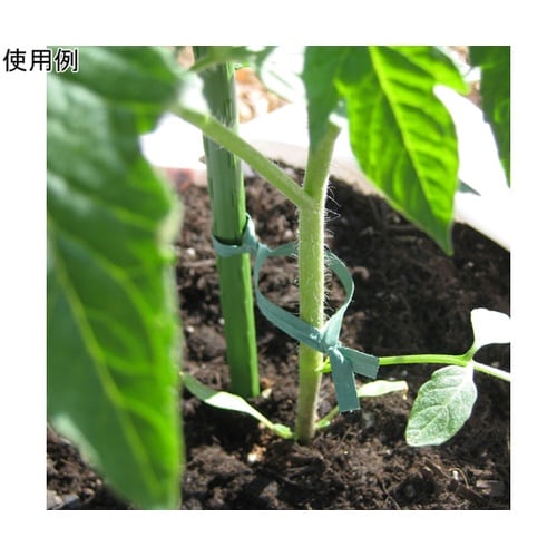 緑ペーパータイ 20cm×50入 1組(