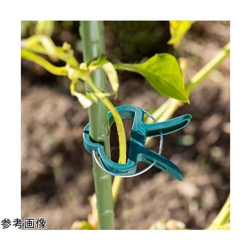 支柱誘引クリップ 小 1組(10個入)