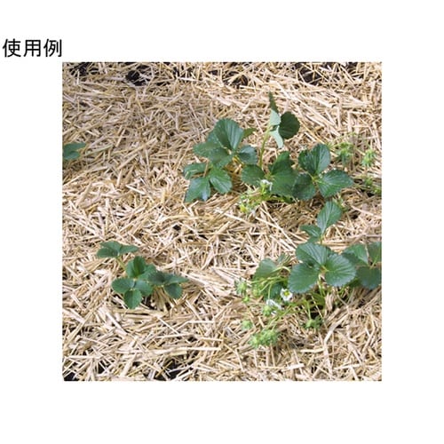 敷ワラ 12L