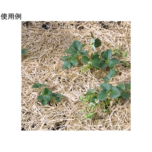 敷ワラ 24L