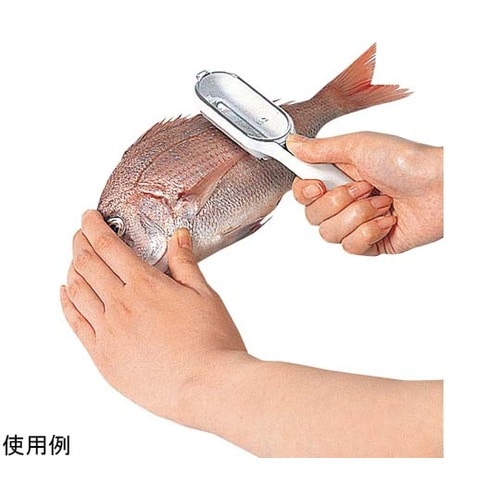 KK うろこ取り(ケース付き) DH81