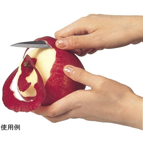 KK 木ザヤフルーツナイフ DH8018