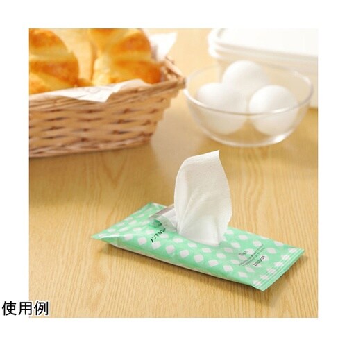 携帯用除菌ポケットウェットノンアルコール
