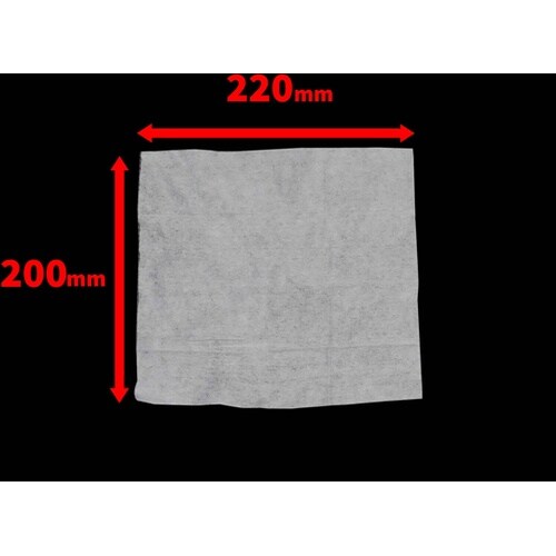 おしりふき 大人用 100枚入 厚手 レ