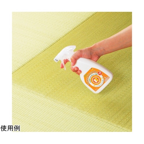 カビが生えにくくなるスプレー部屋用 CH