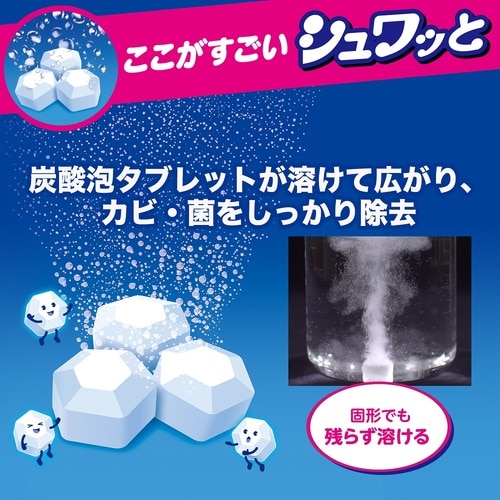 洗浄力 シュワッと洗たく槽クリーナー 9