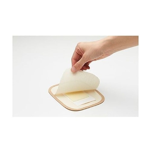 25x15cm ダニ捕獲・粘着シート(1