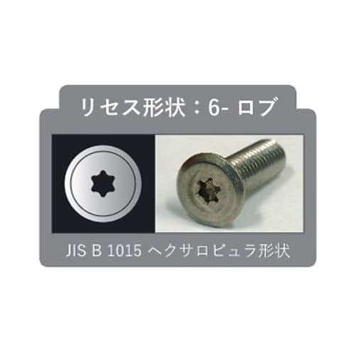 M5x10mm/T10 TORXスリムヘ