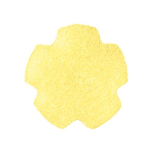 口腔ケアスポンジ 紙軸M 10本