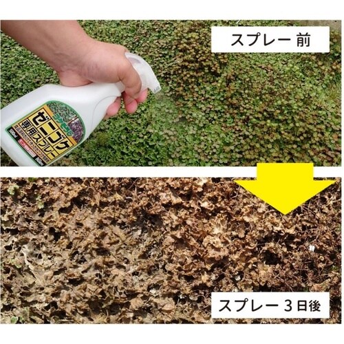 EA913AE−21 500ml コケ取り剤スプレ
