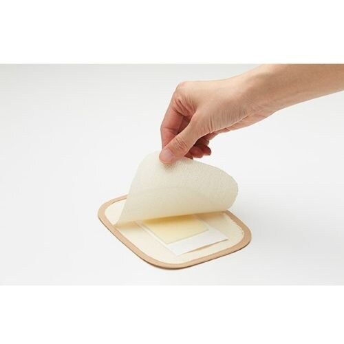 EA941C−31 25x15cm ダニ捕獲・粘着