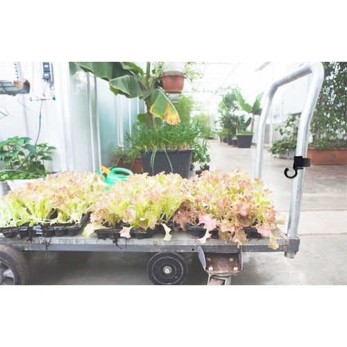 EA951DV−2 20―40mm/25mm ベル