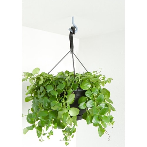 EA951FZ−14 92x 39x 6.3mm