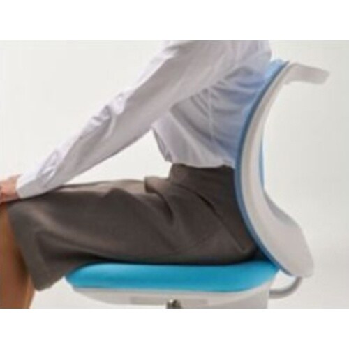 EA956XA−282 ビジネスチェアー(ブルー)