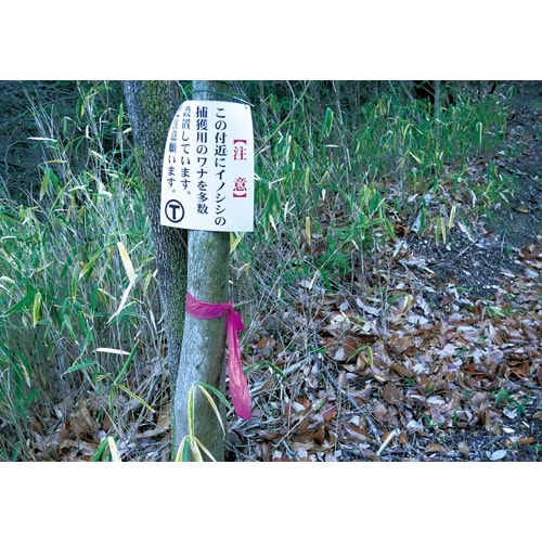 EA983DB−61 50mmx200m マーキン