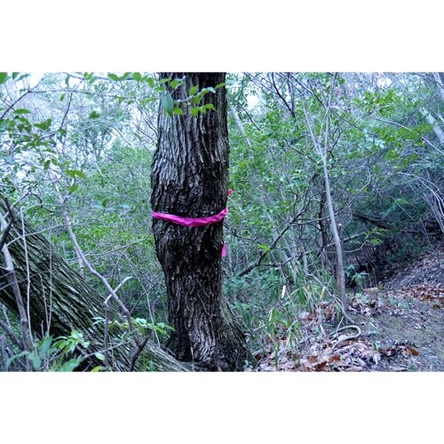 EA983DB−61 50mmx200m マーキン