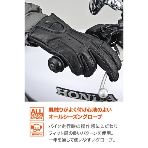 DG−021 ドリーミーレザーグローブ カラー:ブ