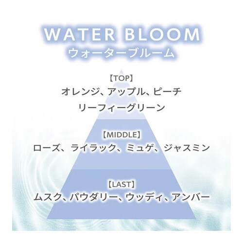 スイリン エア2個パック ウォーターブルーム(凛と