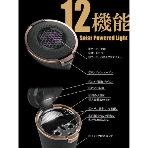 ソーラーライトアッシュ CP