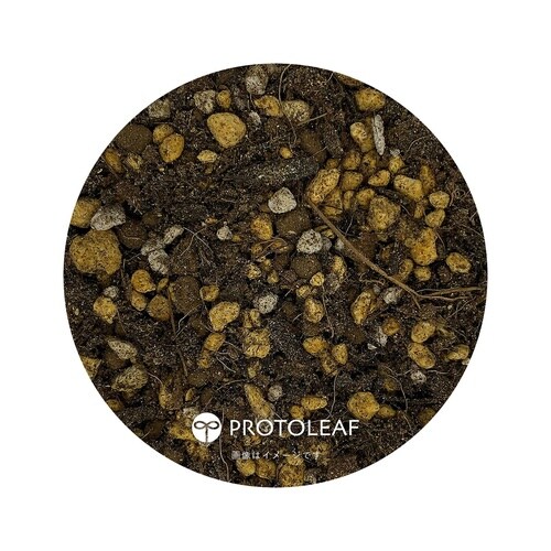 サボテン多肉植物の土 14L