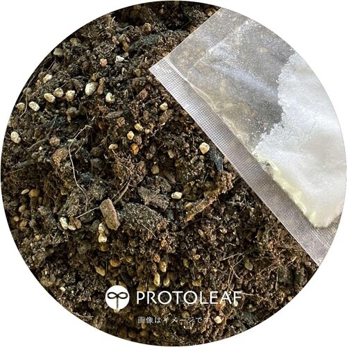 青アジサイの土 5L