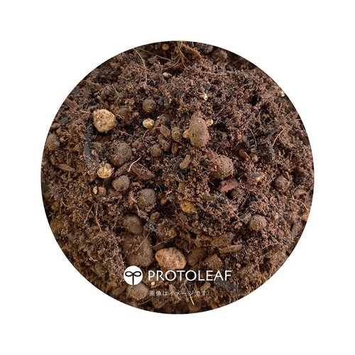 果樹・花木の土 12L