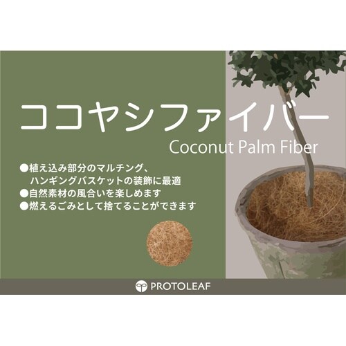 ココヤシファイバー 50g