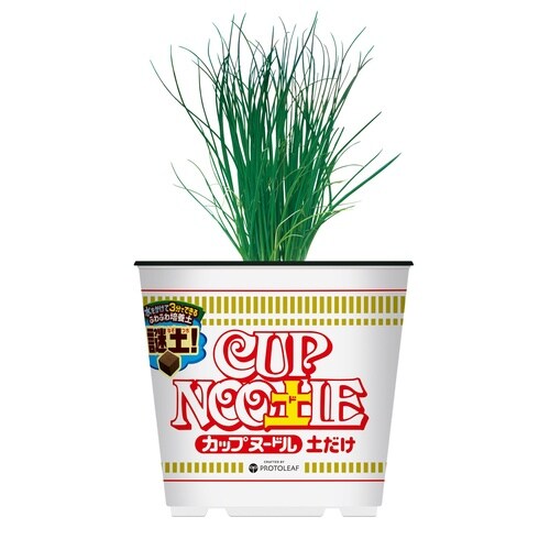 カップヌー土ル 土だけ 5L