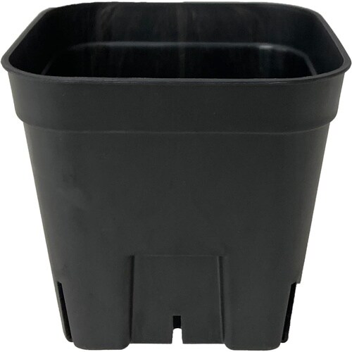 プレステラ105 10個組 ブラック